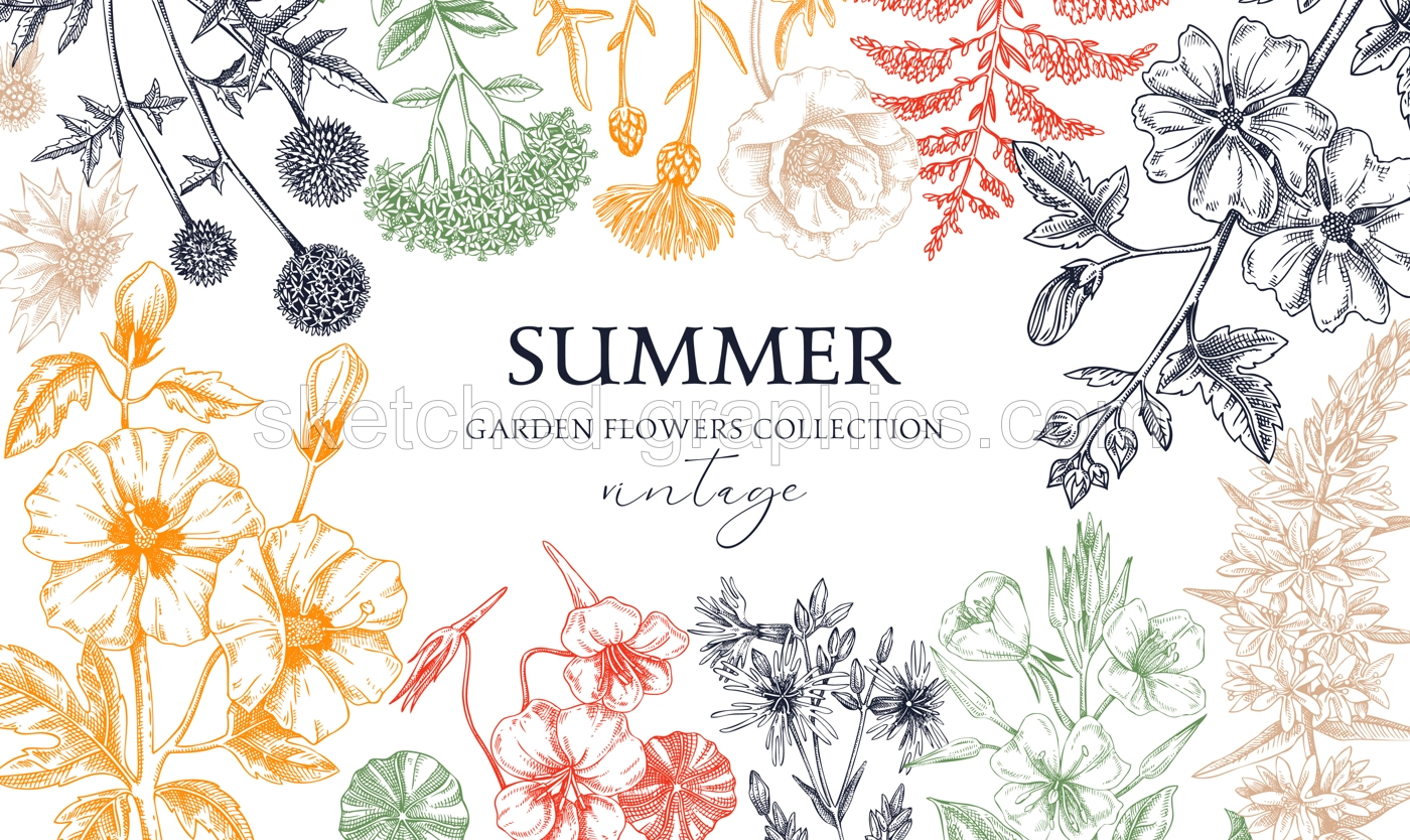 Hand drawn summer background. Garden flowers frame design in sketch style. Vinatge botanical illustration in color. Floral banner for prints, cards, posters Illustration